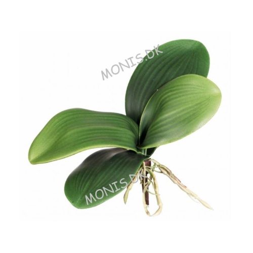 Dragon Orchideblade - Plastik Orkide Blade