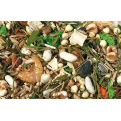 Dværghamster Hugro 500g er et fuldfoder af høj kvalitet, som indeholder det naturlige føde hamstret vil gå efter i naturen.