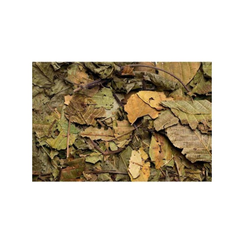 Hugro Tørrede Valnøddeblade 80g er en sund og naturlig snack til krybdyr & gnavere.