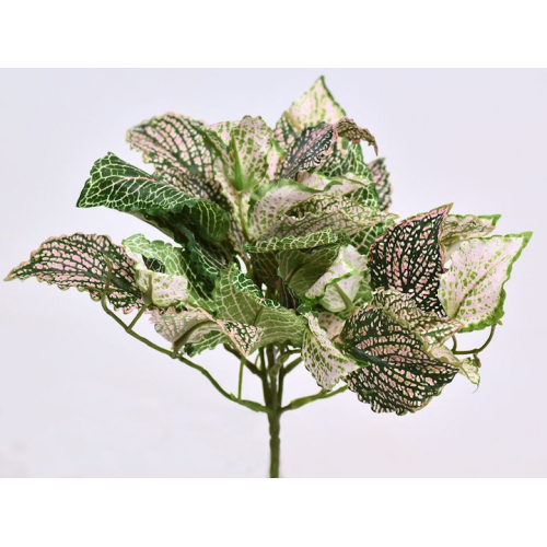 Plastik Fittonia Nerve plante 25cm - En super flot dekoration både til hjemmet og til terrariet. Køb online på Monis.dk.