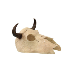 Repti Planet Buffalo Kranie 12,5 x 11,8 x 8cm