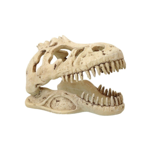 Repti Planet T-Rex Kranie 13,3 x 8,5 x 9cm