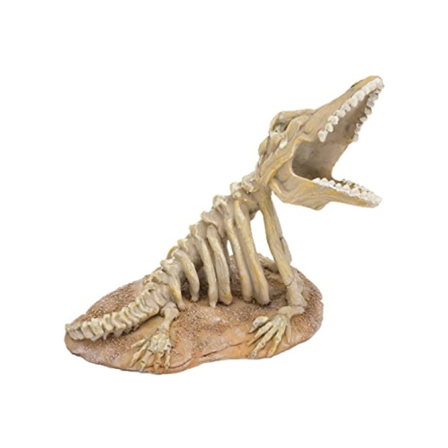 Penn-Plax Jurassic Skeleton