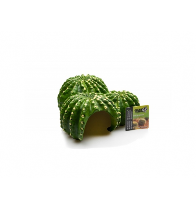 GiganTerra Kaktus Hule
