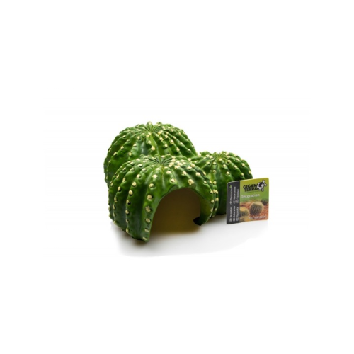 GiganTerra Kaktus Hule