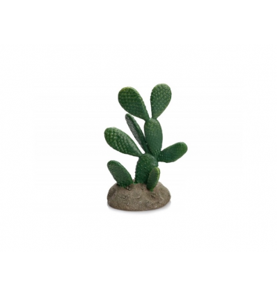 GiganTerra Kaktus 19,5cm