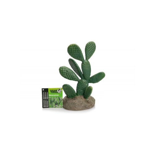 GiganTerra Kaktus 19,5cm