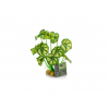 GiganTerra Stående Plante 3 er en naturtro kunstig terrarie plante, med grønne blade med hvide pletter i.