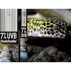 Arcadia Pro T5 kit ShadeDweller 7% UV-B