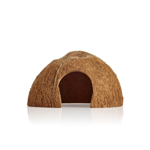 Kokosnød hule