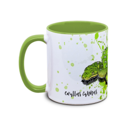 Kaffekop Grøn Træboa / Corallus caninus