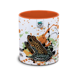 Kaffekop frø / Oophaga pumilio Rio Branco