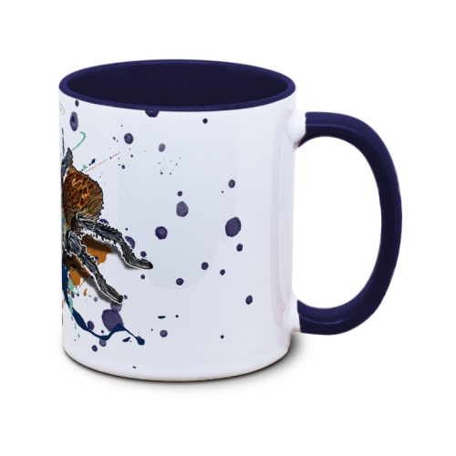 Kaffekop Edderkoppe / Vogelspinne Chromatopelma cyaneopubescens