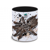 Kaffekop Vogelspinne Heteroscodra maculata / Marmorvogelspinne
