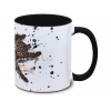 Kaffekop Vogelspinne Heteroscodra maculata / Marmorvogelspinne