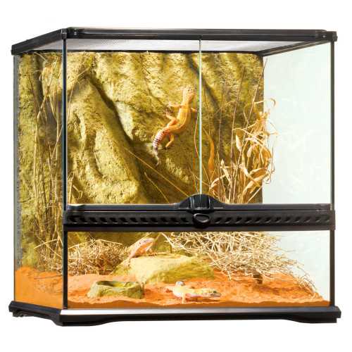 Exo Terra Natural Terrarium Small/Wide - 45x45x45cm