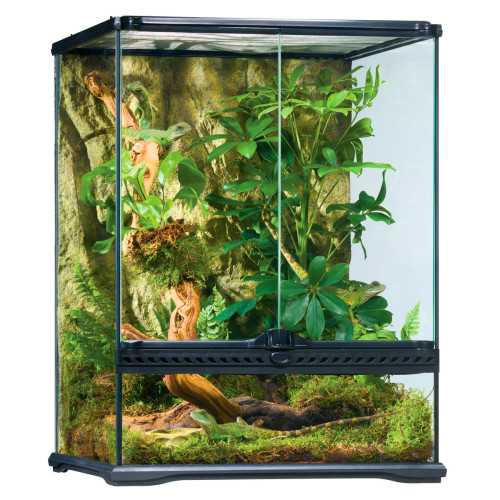 Exo Terra Natural Terrarium Small/Tall  45X45X60