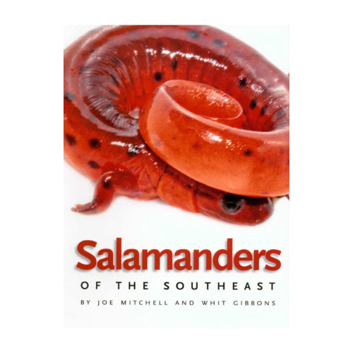 Salamanders - Of The Southeast