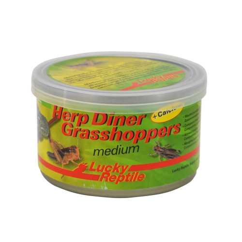 Lucky Reptile Herp Diner - Græshopper Medium 35g