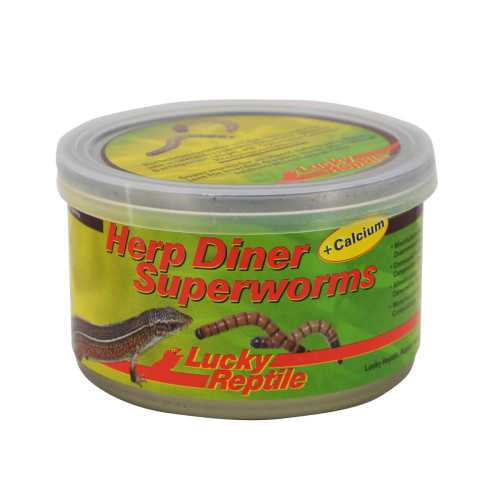 Lucky Reptile Herp Diner Superworms 35g