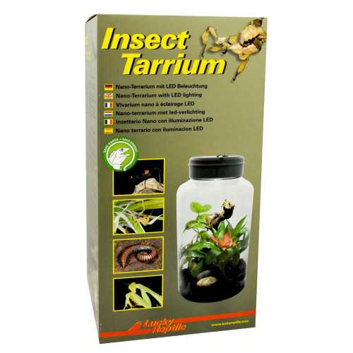 Lucky Reptile Insect Terrarium