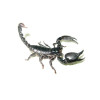 Vietnamesisk skov skorpion - Heterometrus Silenus