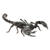 Malaysisk skov skorpion - Heterometrus Spinifer