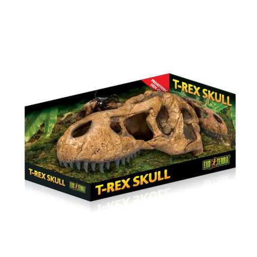 Exo Terra T-Rex Skull