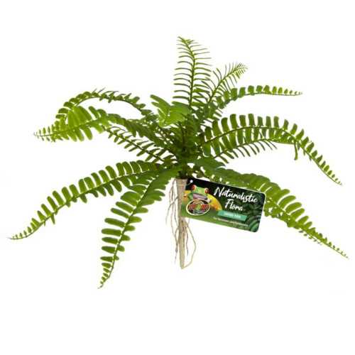 Zoo Med Naturalistic Flora – Sword Fern