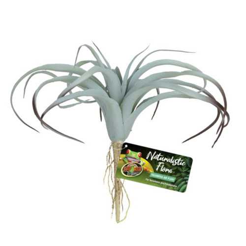 Zoo Med Naturalistic Flora – Tillandsia Air Plant