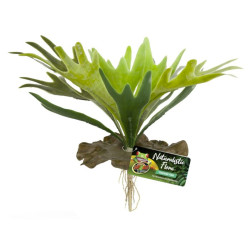 Zoo Med Naturalistic Flora – Staghorn Fern