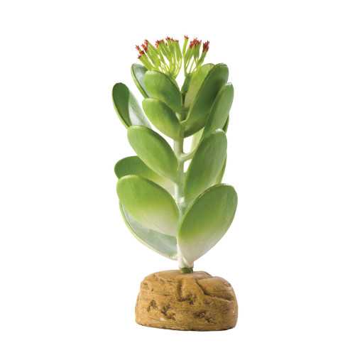 Exo Terra Jade Cactus