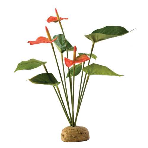 Exo Terra Anthurium Bush