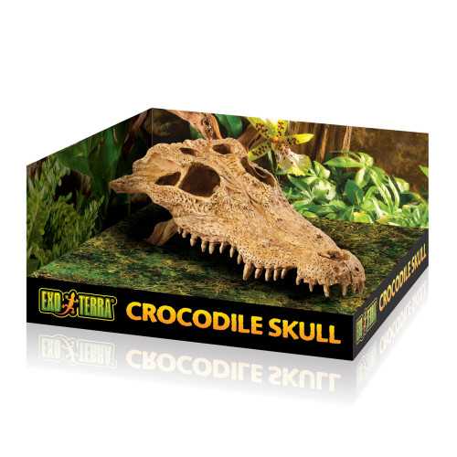 Exo Terra Crocodile Skull