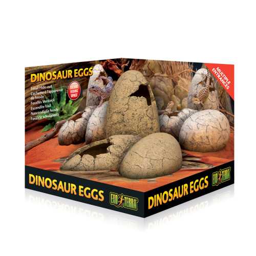 Exo Terra Dinosaur Eggs