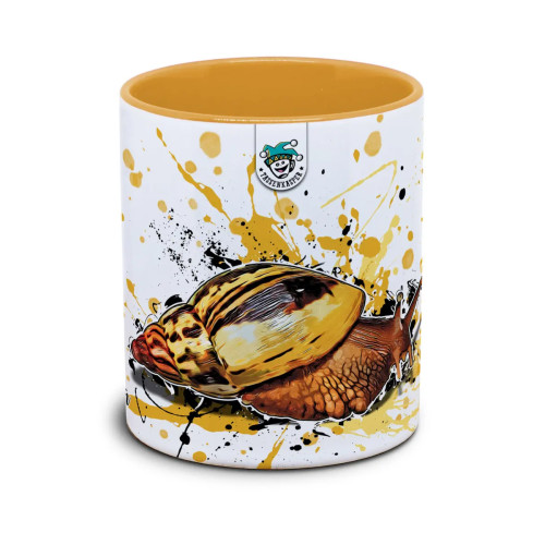 Kaffekop snegl / Lissachatina albopicta
